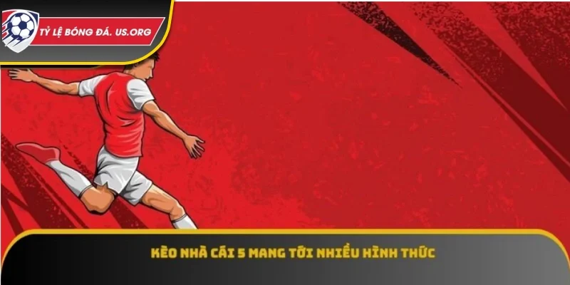 Tỷ lệ kèo nhà cái 5 mang tới nhiều hình thức
