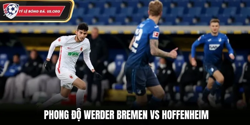 Soi kèo Werder Bremen vs Hoffenheim qua phong độ